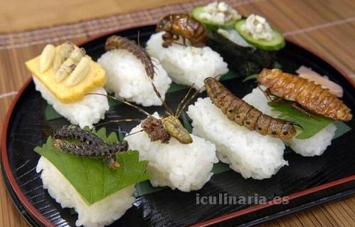 larva de escarabajo | Innova Culinaria